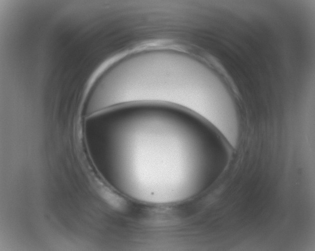 X0000082681328200701260918