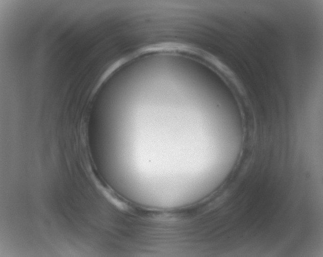 X0000082681329200701260918