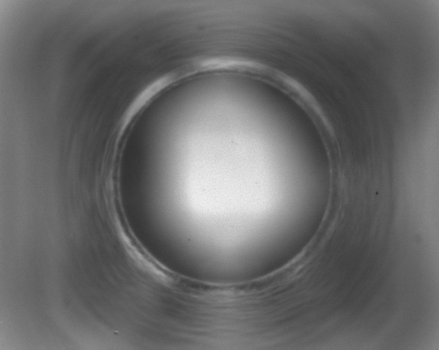X0000082681330200701260918