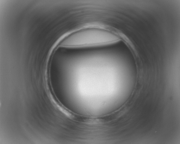 X0000082681331200701260918