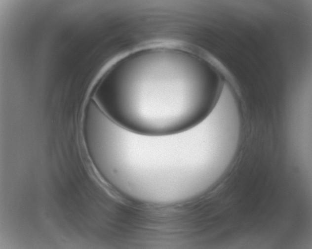 X0000082681332200701260918