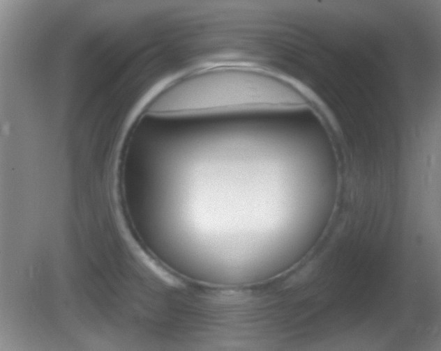 X0000082681333200701260919