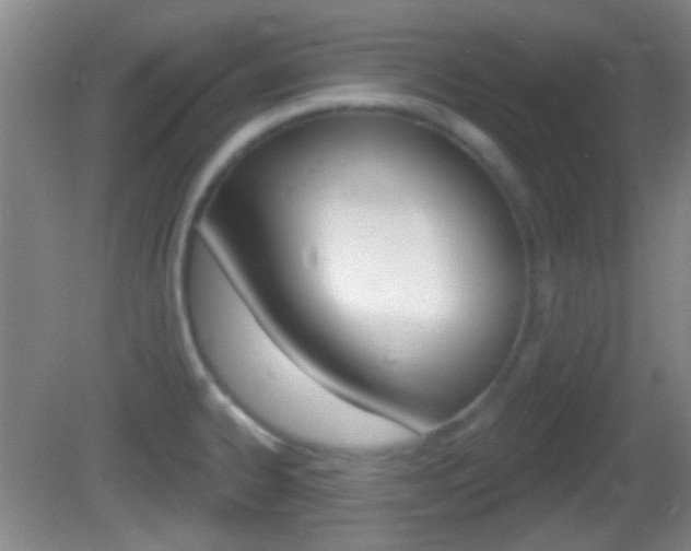 X0000082681334200701260919