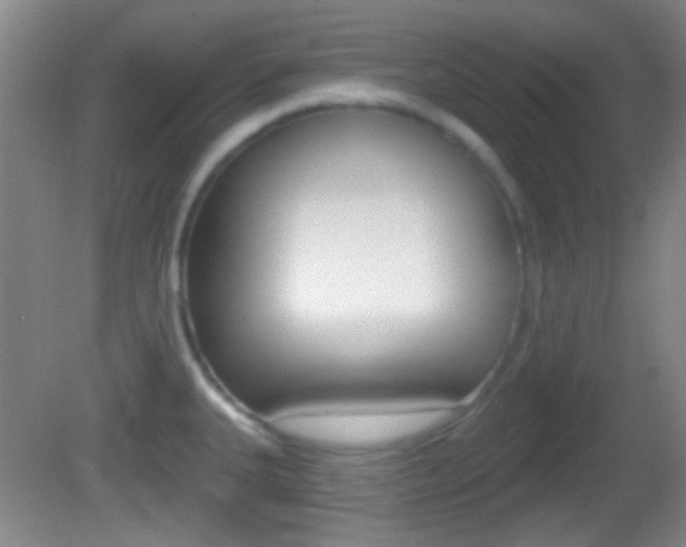 X0000082681335200701260919
