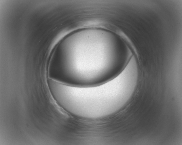 X0000082681336200701260919