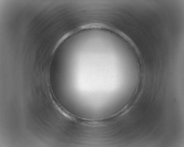 X0000082681337200701260919
