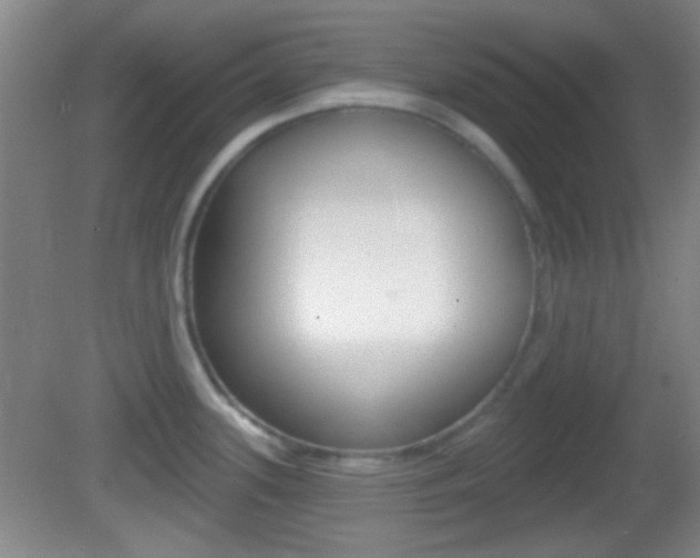 X0000082681339200701260919