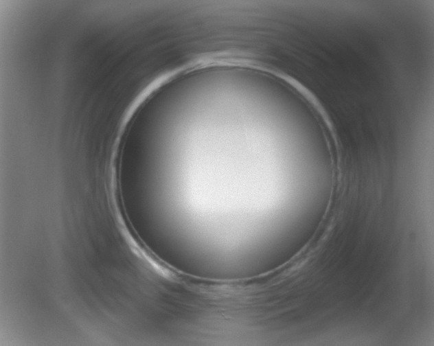 X0000082681341200701260919