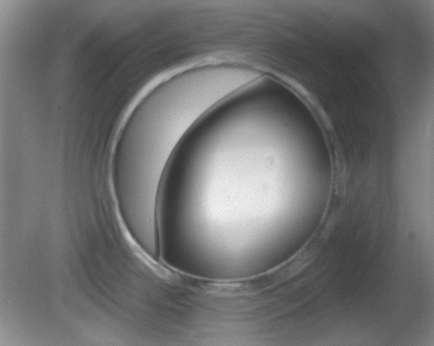 X0000082681342200701260919