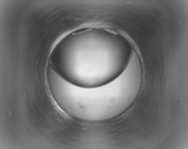 X0000082681344200701260919