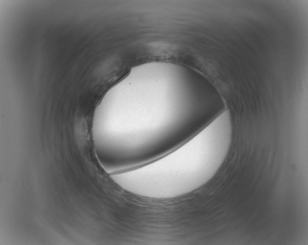 X0000082681347200701260918
