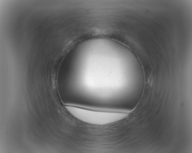 X0000082681348200701260918
