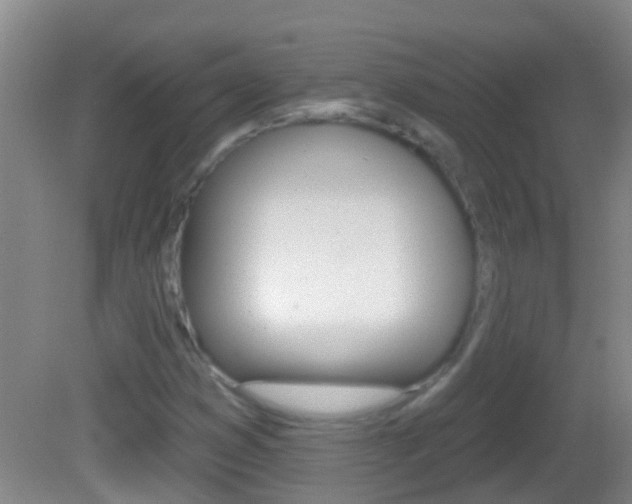 X0000082681353200701260918