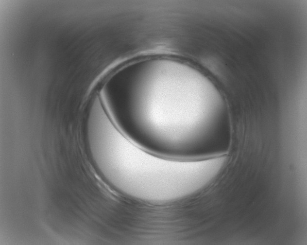 X0000082681356200701260918