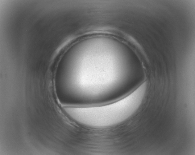 X0000082681360200701260918