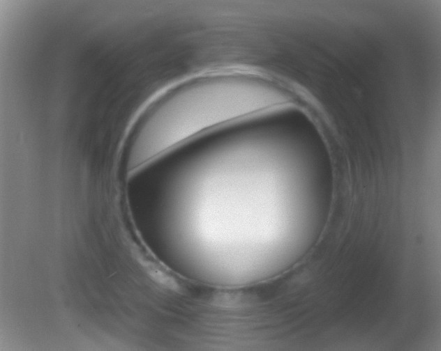 X0000082681364200701260918