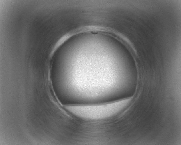 X0000082681365200701260918