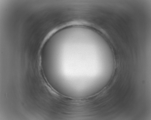 X0000082681366200701260918