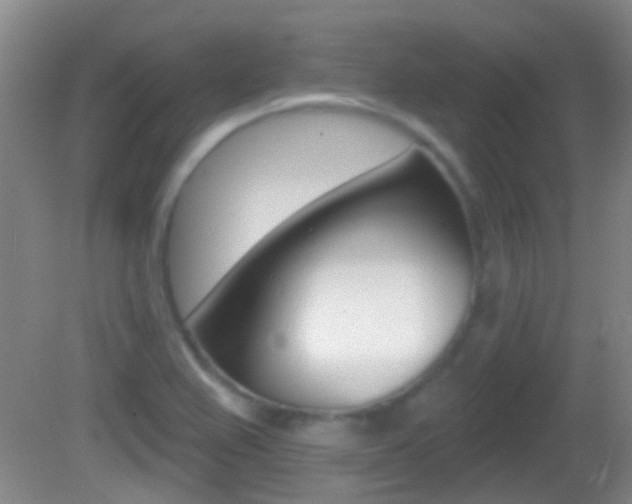 X0000082681367200701260918