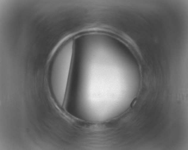 X0000082681368200701260918