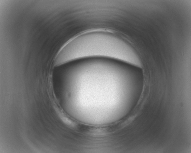 X0000082681369200701260917