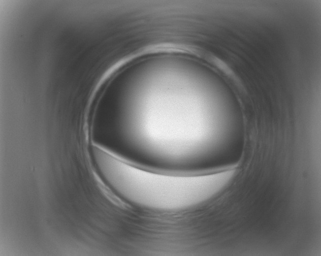 X0000082681372200701260917