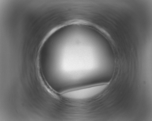 X0000082681375200701260917