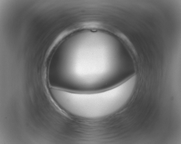 X0000082681376200701260917
