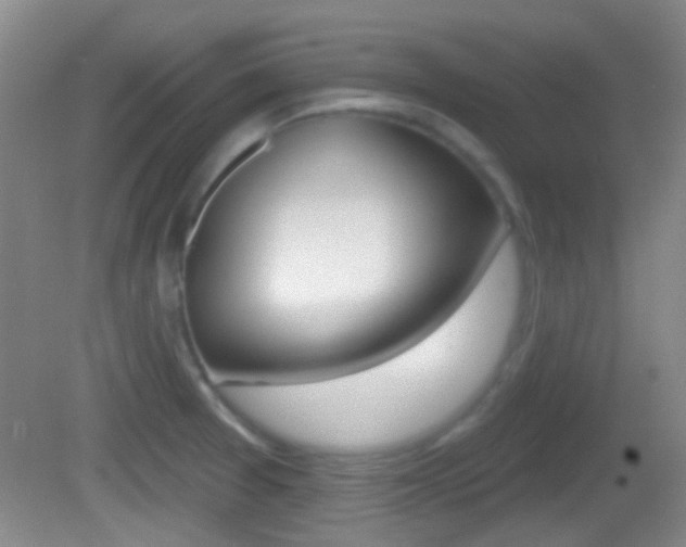 X0000082681377200701260917