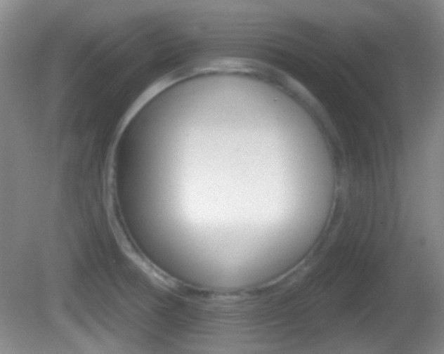 X0000082681378200701260917