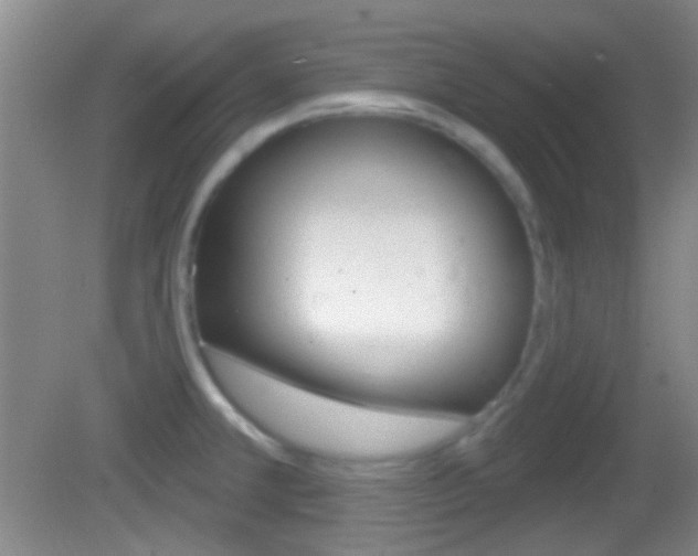 X0000082681381200701260917
