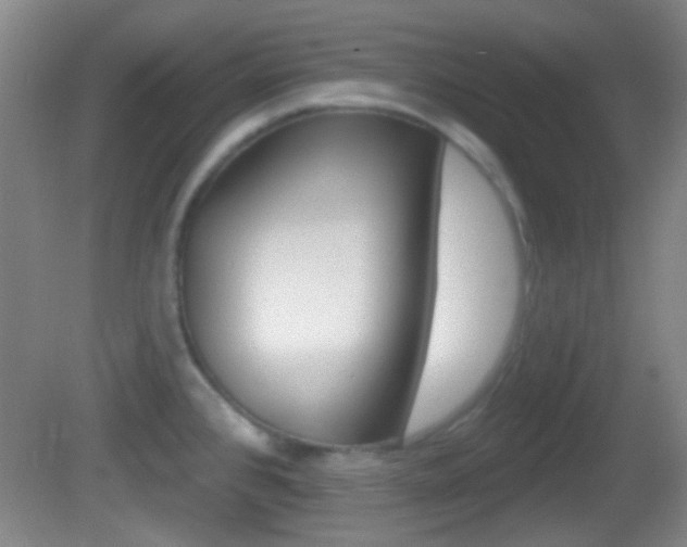 X0000082681384200701260917