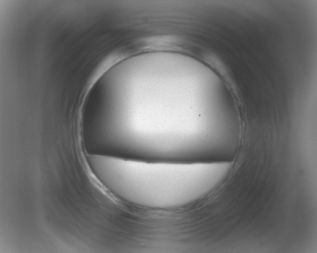 X0000082681386200701260917