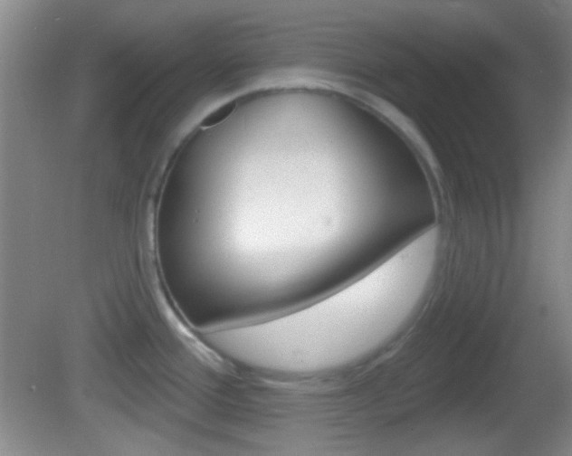 X0000082681388200701260917