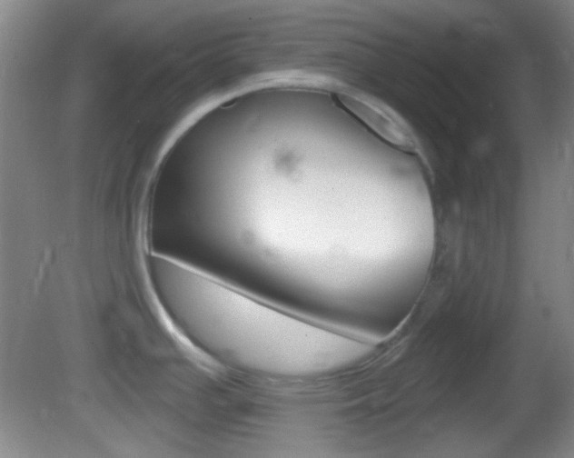 X0000082681391200701260917