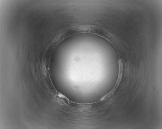 X0000082681394200701260916