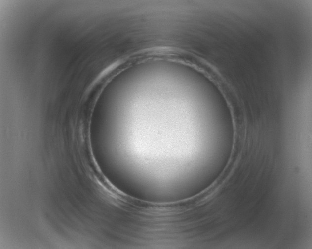 X0000082681402200701260916