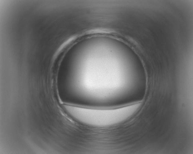 X0000082681406200701260917