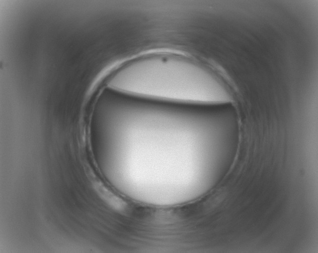 X0000082681408200701260917