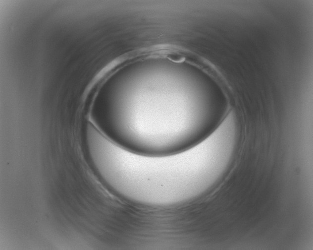 X0000082681410200701260917
