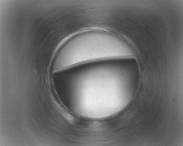 X0000082681412200701260917