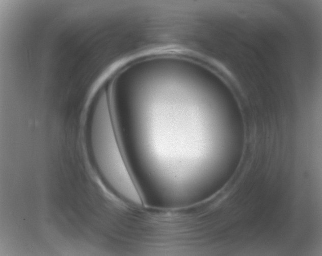 X0000082681414200701260917