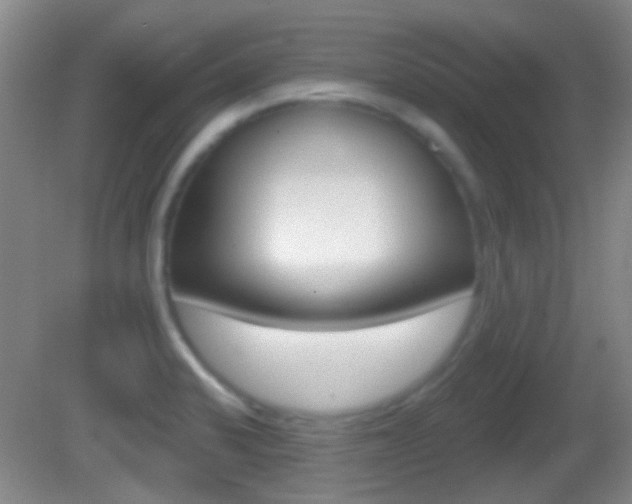 X0000082681424200701260917