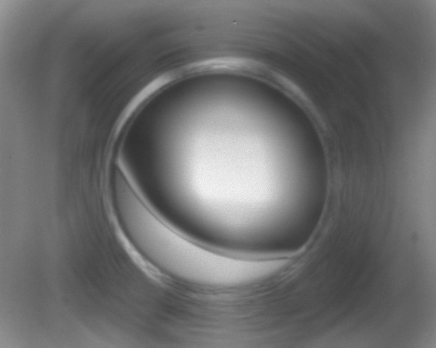 X0000082681426200701260917