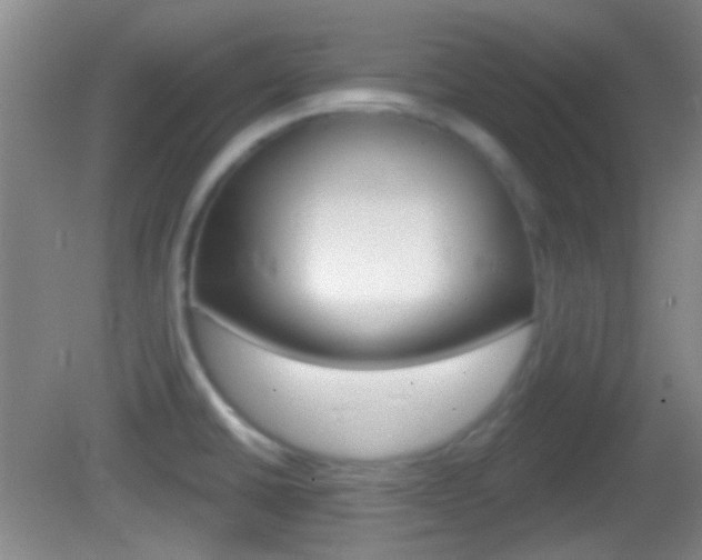 X0000082681430200701260917
