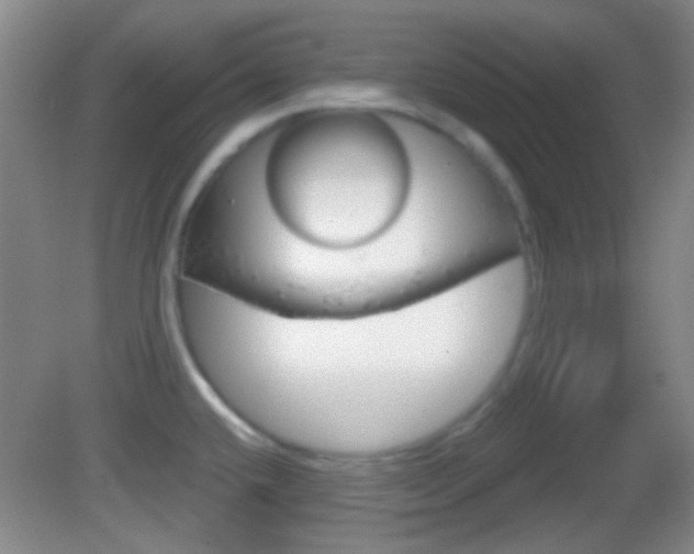 X0000082681432200701260917