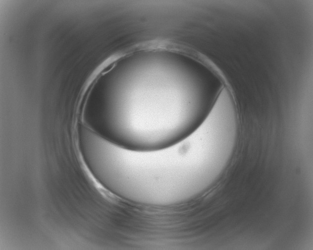 X0000082681434200701260917