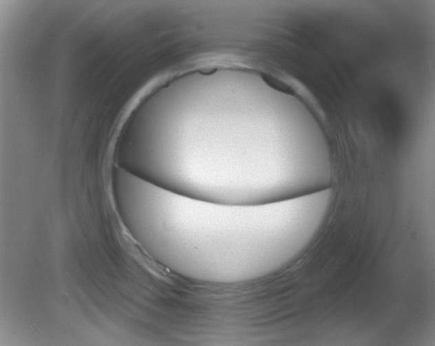 X0000082681435200701260917