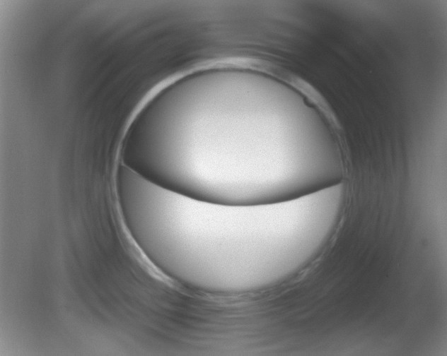 X0000082681436200701260917