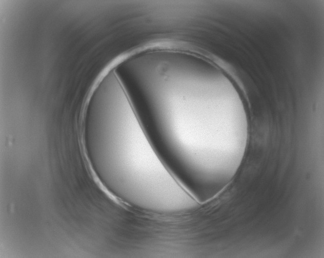 X0000082681437200701260917